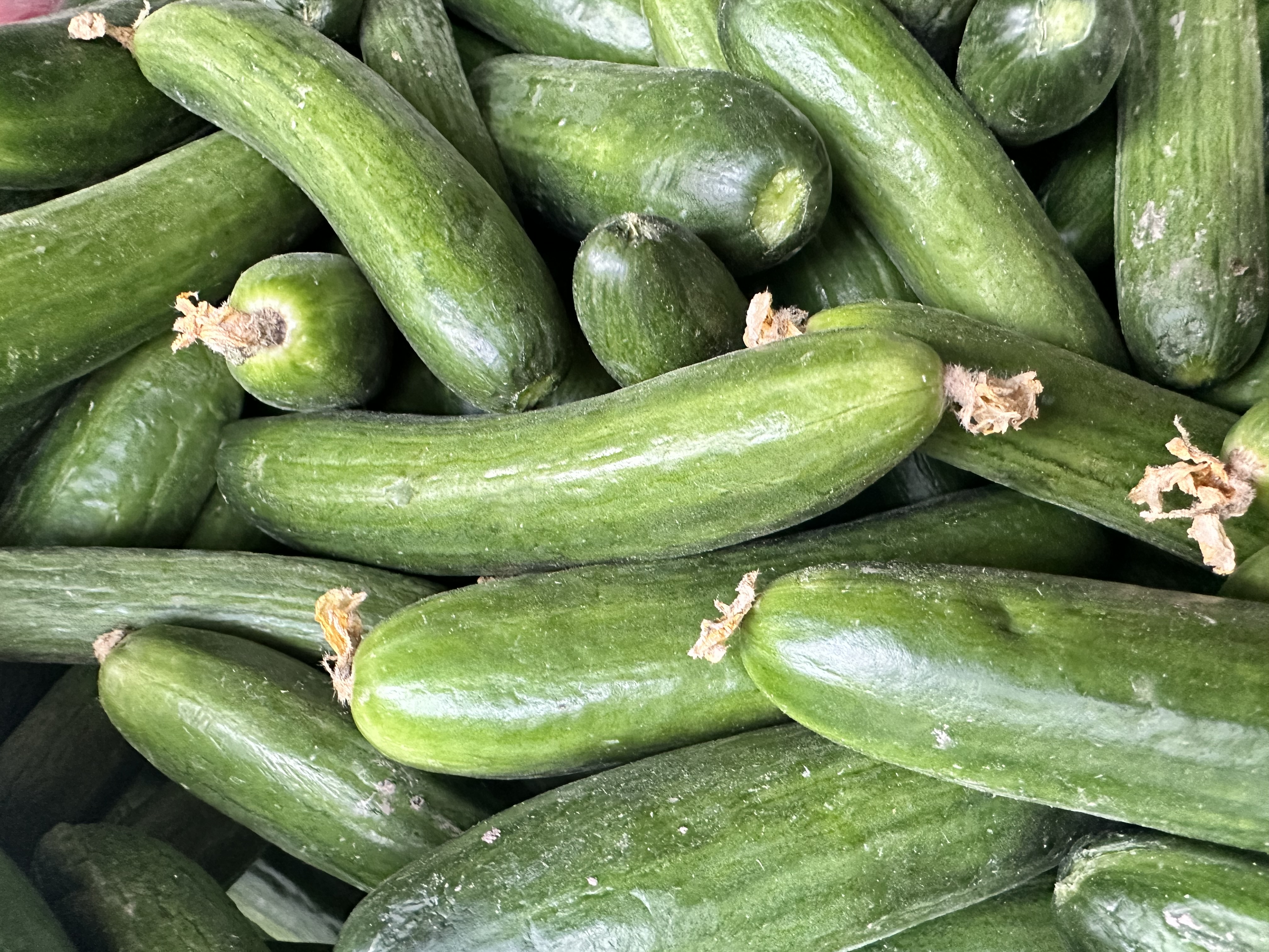 SALATALIK